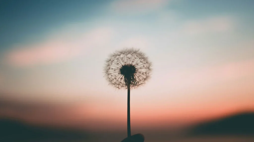 the-power-of-inner-peace